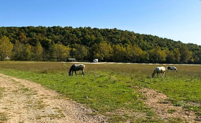 Image 16 for Creekside RV Dry Site