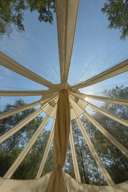 Image 7 for Wandering Willow