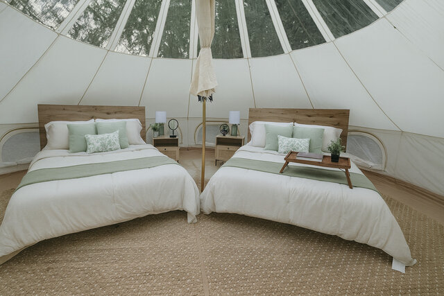 Image 1 for Secret Sycamore