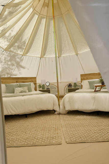 Image 8 for Secret Sycamore