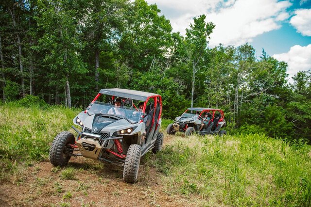 Image 25 for Wandering Willow