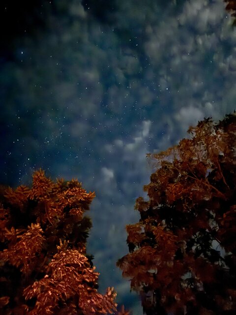 Image 23 for Maple Haven