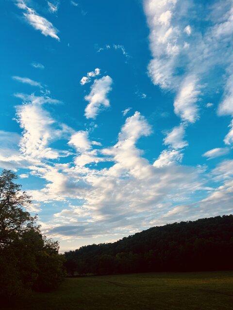 Image 19 for Dogwood Den