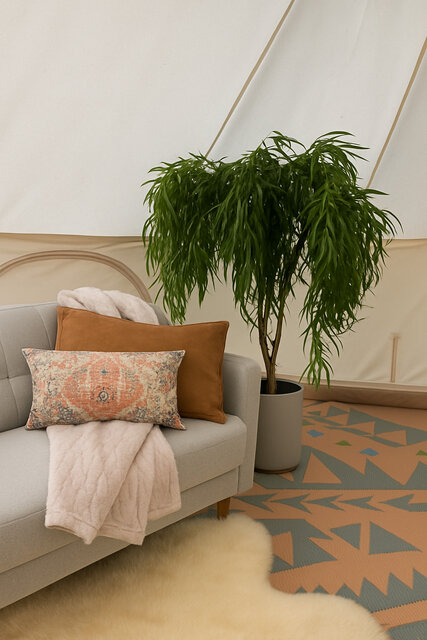 Image 3 for Wandering Willow