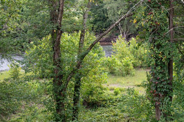 Elk River 