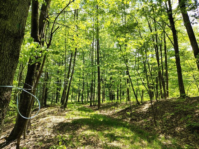 Image 1 for Maple Run Campsite YMC