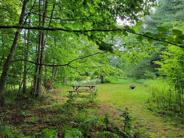 Image 4 for Trillium