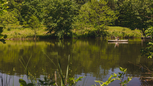 Image 21 for The Lodge at Yew Mountain Center