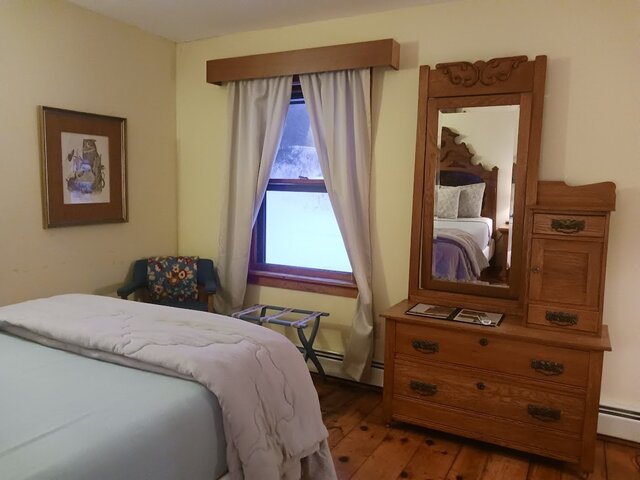 Image 4 for Sassafras
