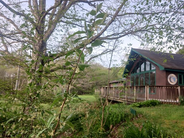 Image 20 for The Lodge at Yew Mountain Center