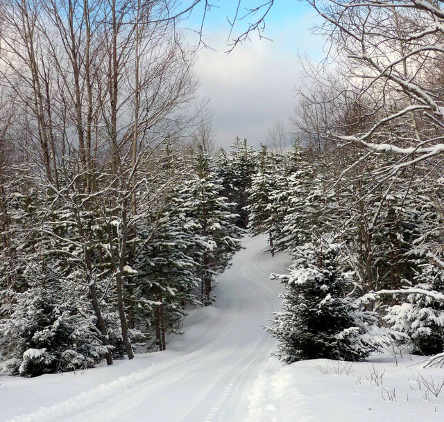 Image 3 for Cross Country Ski Package 2025-2026