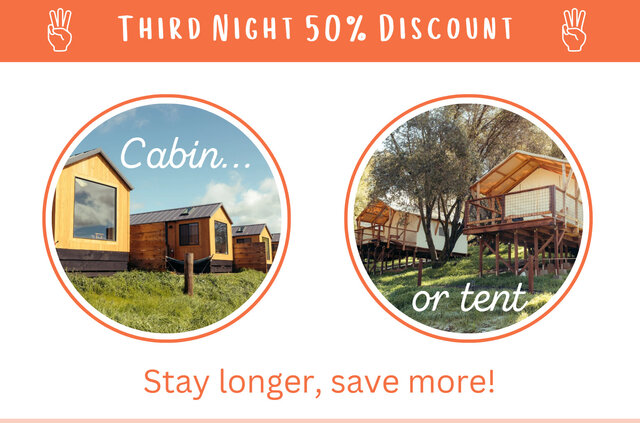 Image 1 for 3rd Night 50% Off