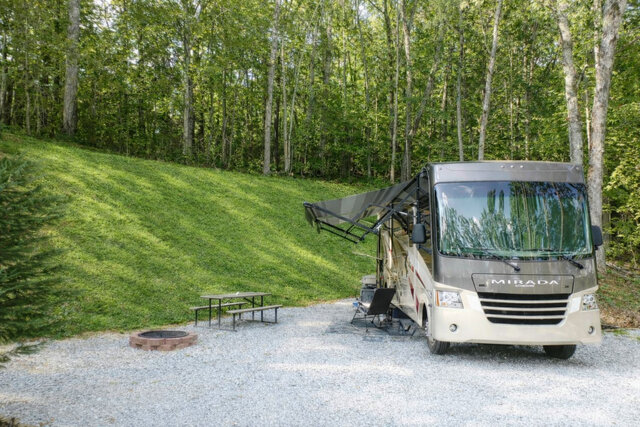 Image 4 for WL-11 (Site #11 - Wilderness Loop)