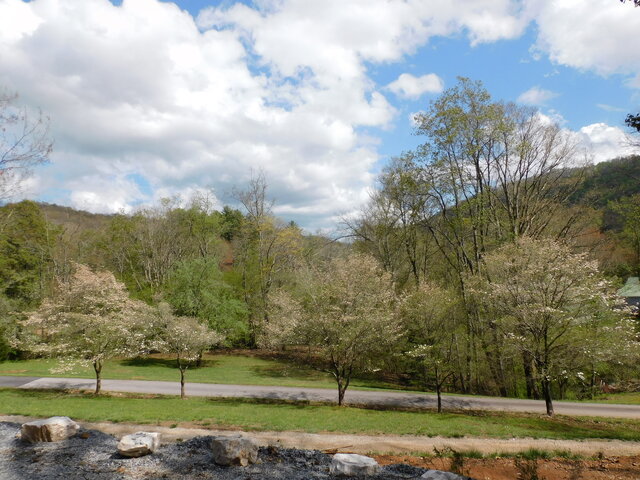 Image 14 for White Rock (Site #9) Standard Site