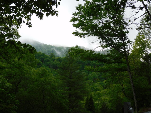 Image 9 for White Rock (Site #9) Standard Site