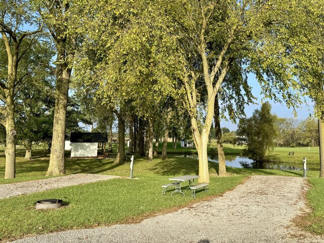 Picture of site 87