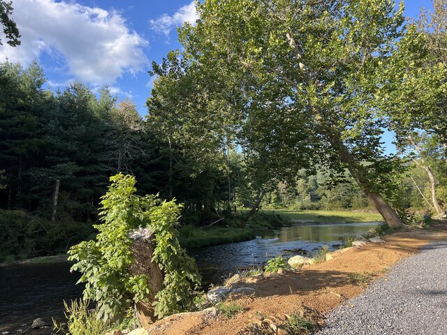 Image 4 for 23) SITE 23 River Side Back In {OLD 25}