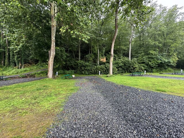 Image 3 for 14) SITE 14 Mountain Side Back In {Old Dog Park}