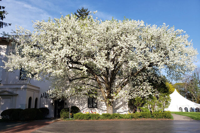 Image 1 for Spring Into Comfort! Stay for the Memories!