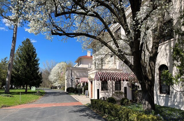 Image 1 for Spring Special