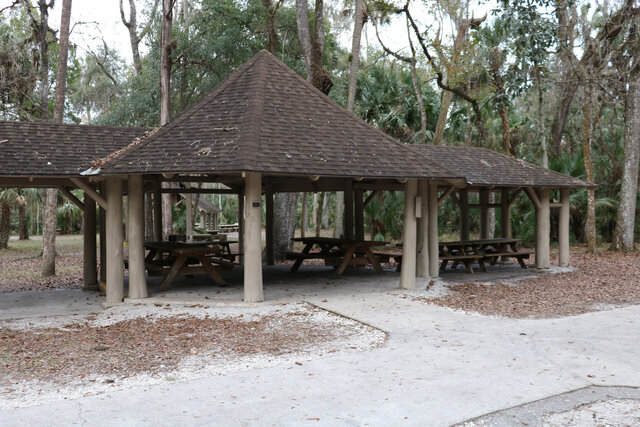 Image 2 for 03) Sabal