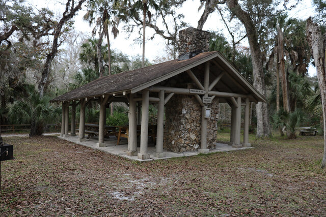 Image 1 for 10) Palmetto