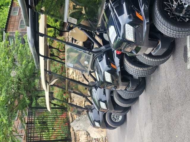 Image 4 for Golf Cart Rental 1 - 4 Seater