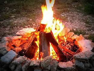 Image 1 for Firewood bundle