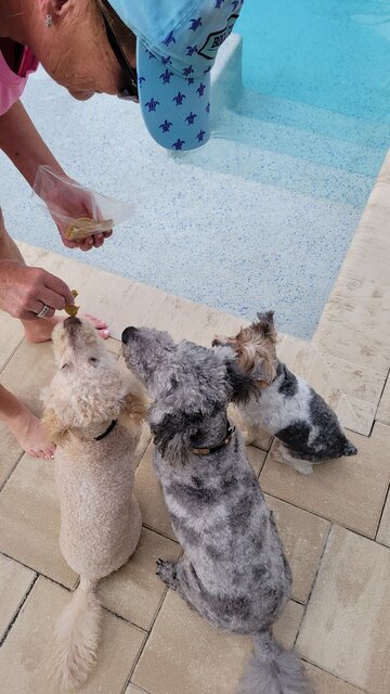 Image 3 for Sandy Beach, water toys,