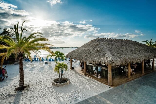 Image 16 for Pet friendly, heated saltwater  pool