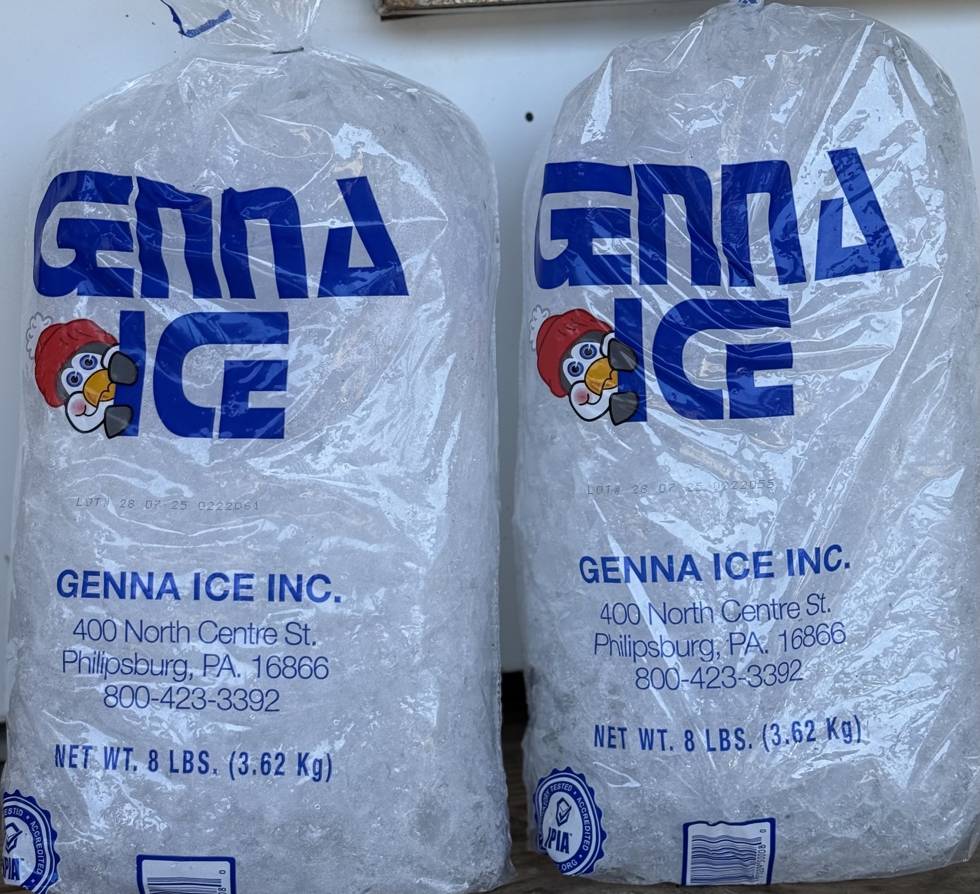 Image for ICE