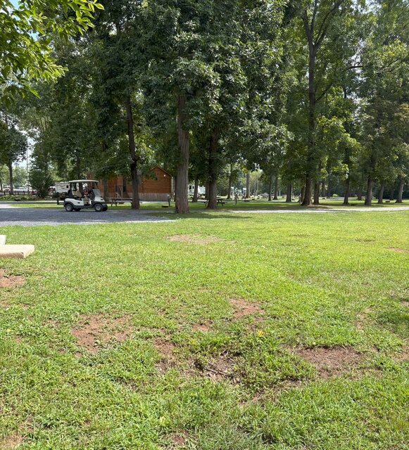 Image 2 for 008 Back in (no sewer) 30 Amp, 30'