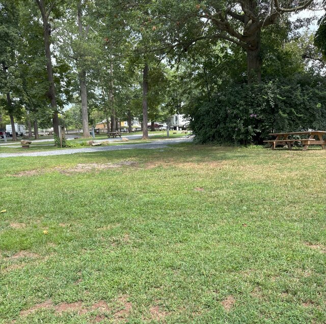 Image 1 for 016 Back in (no sewer) 30 Amp, 30'