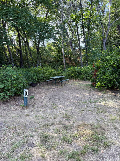 Image 3 for D) Site D - Water Tent Site