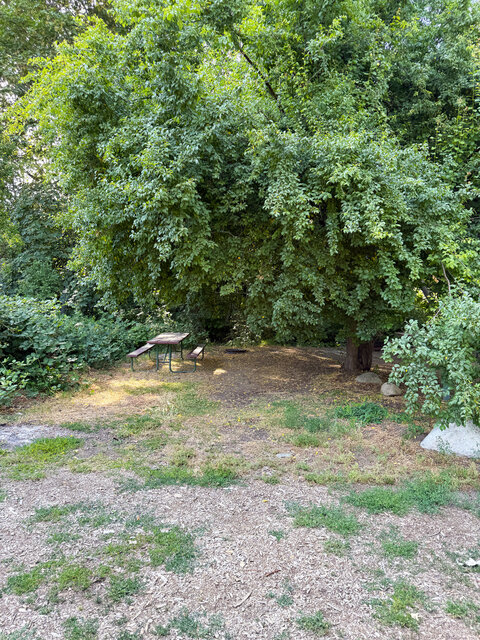 Image 2 for H) Site H - Water Tent Site