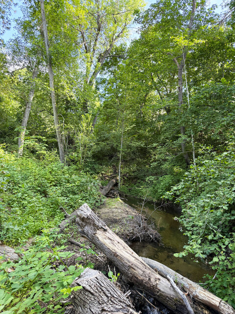 Image 7 for E) Site E - Water Tent Site