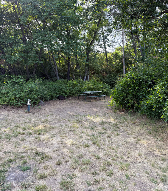 Image 1 for D) Site D - Water Tent Site