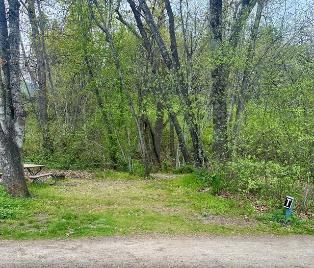 Image 1 for T) Site T - Water Tent Site
