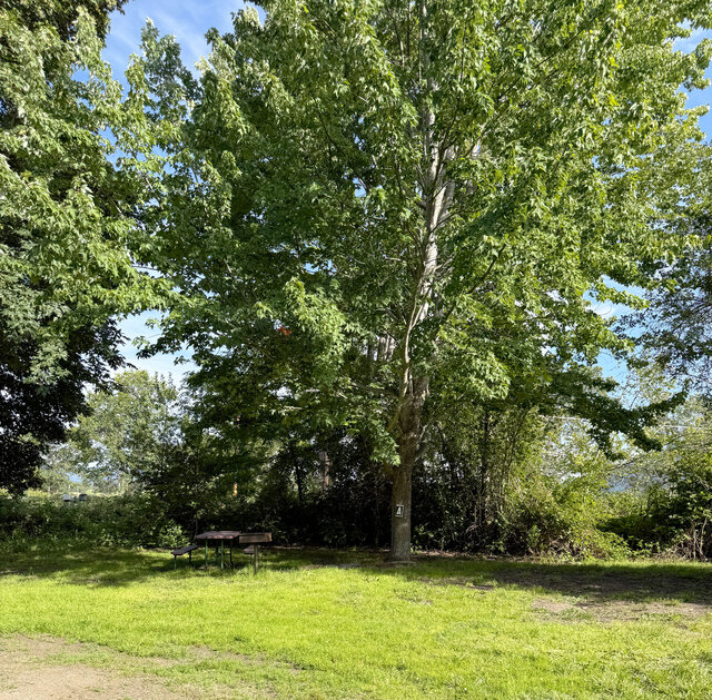 Image 1 for A) Site A - Water Tent Site