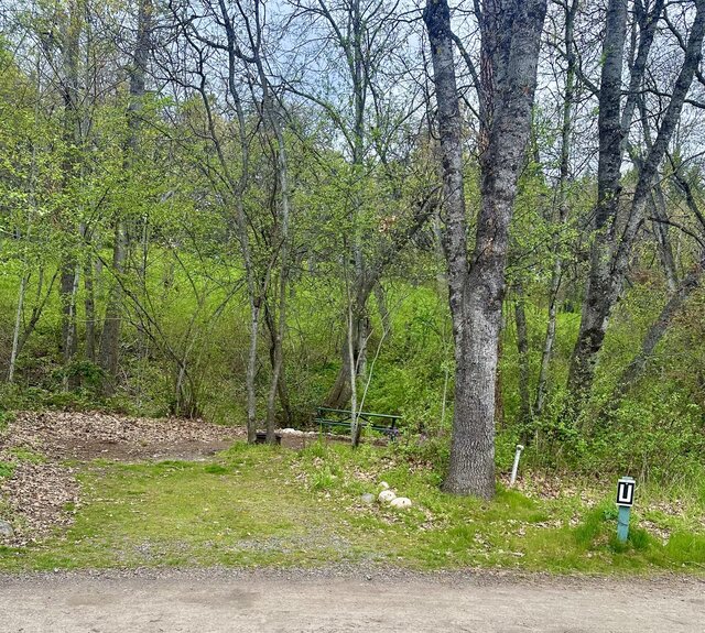 Image 1 for U) Site U - Water Tent Site