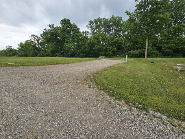 Image 1 for 119) Back-in-Site