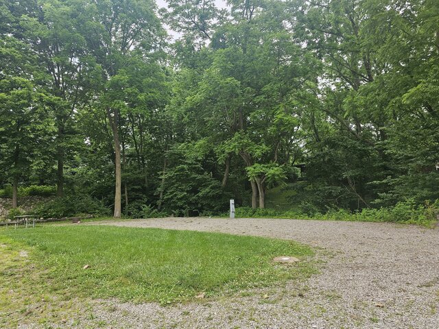 Image 1 for 096) Back-in site