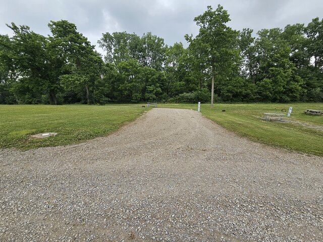 Image 2 for 119) Back-in-Site