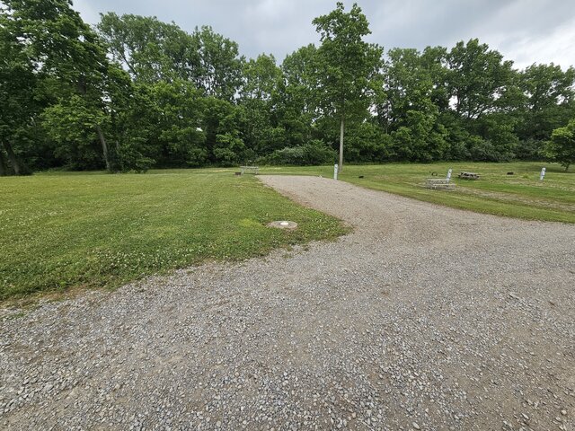 Image 3 for 119) Back-in-Site