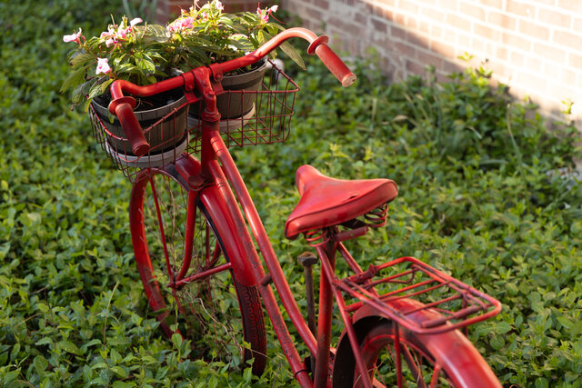 Image 7 for Whole House Rental