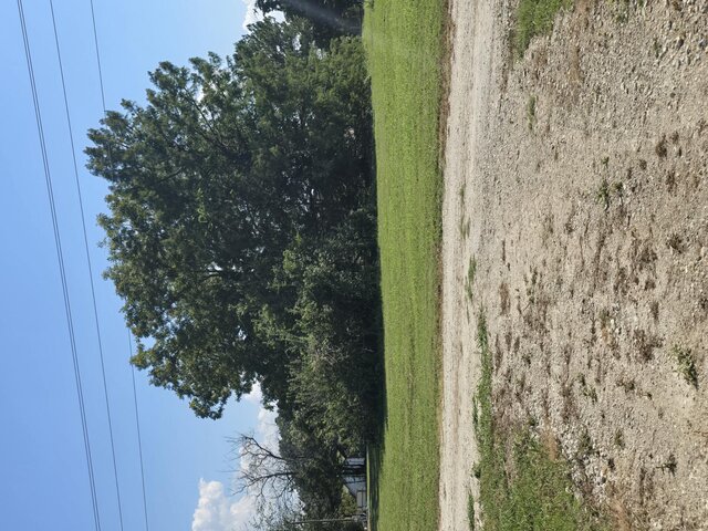 Image 2 for 04) RV Site
