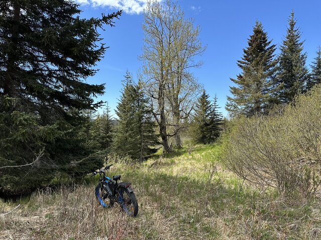 Image 1 for AWD E-bike Wilderness Tours