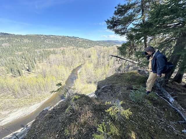 Image 1 for Guided Highlights Hike