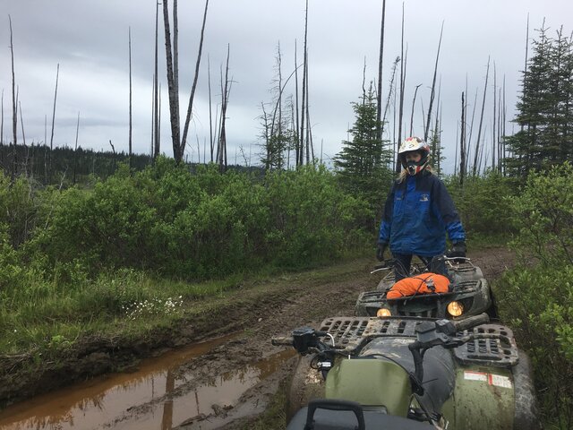 Image 2 for Scenic ATV Tour