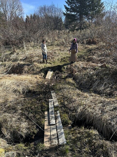 Image 2 for Guided Highlights Hike